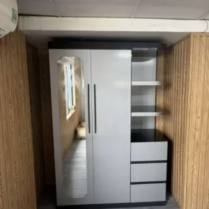 Tủ quần áo 2 cánh 1 kệ có gương nhựa Ecomi EC-ECM16