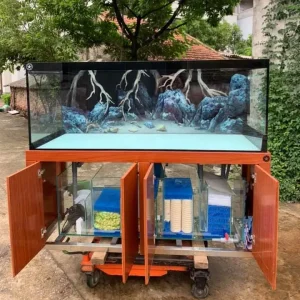 Kệ đặt hồ cá thủy sinh 4 cánh nhựa Ecoplast cao cấp EC-TBC04